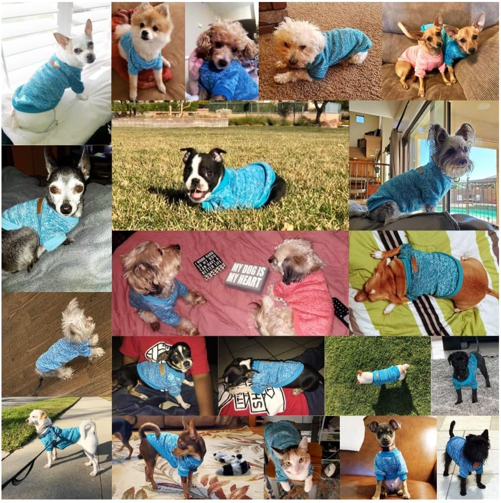 Pet Dog Classic Knitwear Sweater Warm Winter Puppy Pet Coat Soft Sweater Clothing for Small Dogs (XXS, Light Blue)