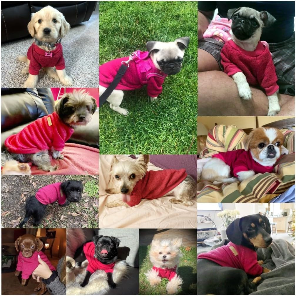 Pet Dog Classic Knitwear Sweater Warm Winter Puppy Pet Coat Soft Sweater Clothing for Small Dogs (XL, Wine Red)