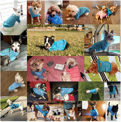 Pet Dog Classic Knitwear Sweater Warm Winter Puppy Pet Coat Soft Sweater Clothing for Small Dogs (XXS, Light Blue)