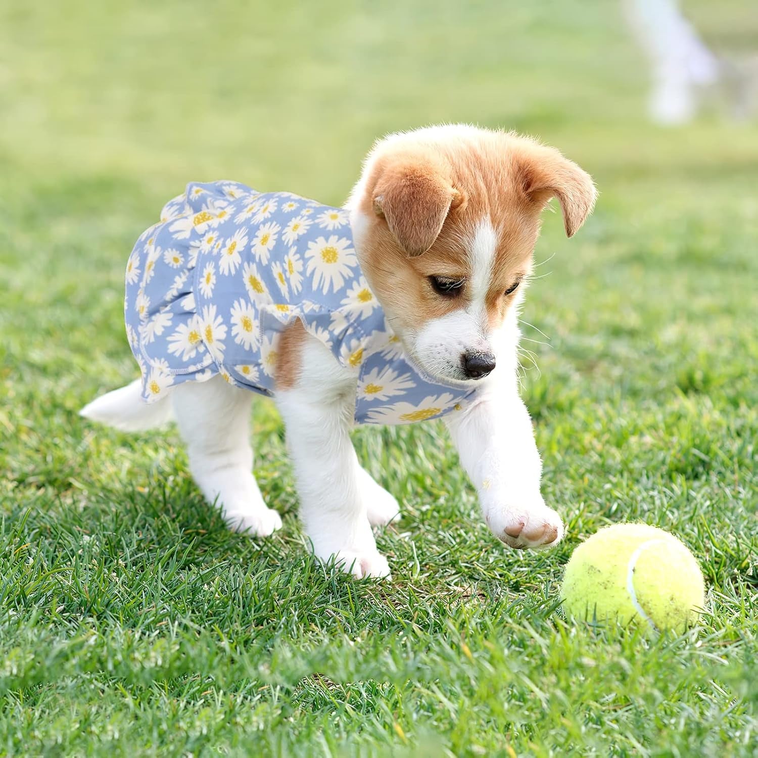 Girl Dog Clothes 3Pcs Dog Dog Dresses for Small Medium Large Dogs Summer Dog Wedding Dress Puppy Pet Birthday Outfit for Chihuahua Yorkie Dog Apparel and Accessories Small Yellow Small